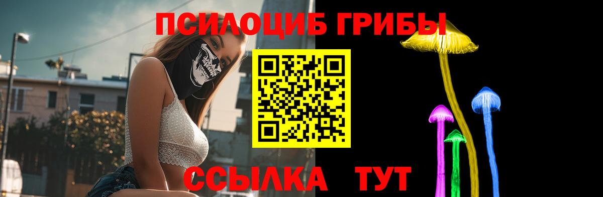 Волоколамск  Псилоцибиновые грибы Cubensis  Вход с VPN 